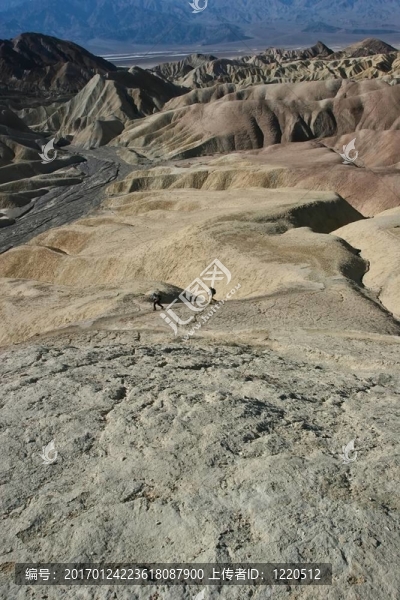 無限春光在險峰