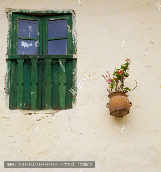 窗和花