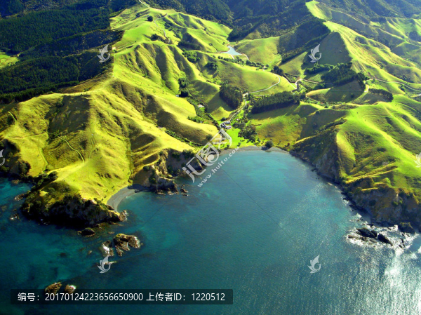 北國的海岸線天線；新西蘭