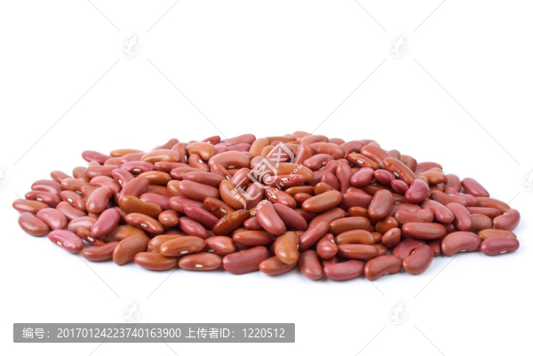小堆紅扁豆