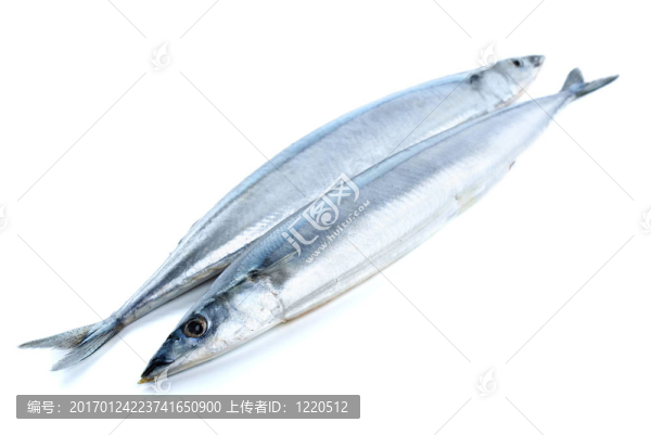 兩個新鮮的秋刀魚魚