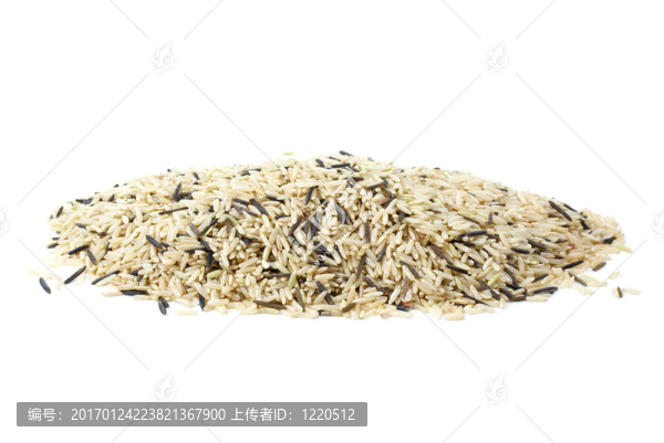 混合（栽培和野生）稻粒