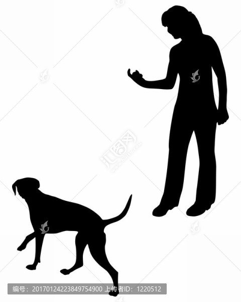 狗訓(xùn)練（服從）：命令：來！