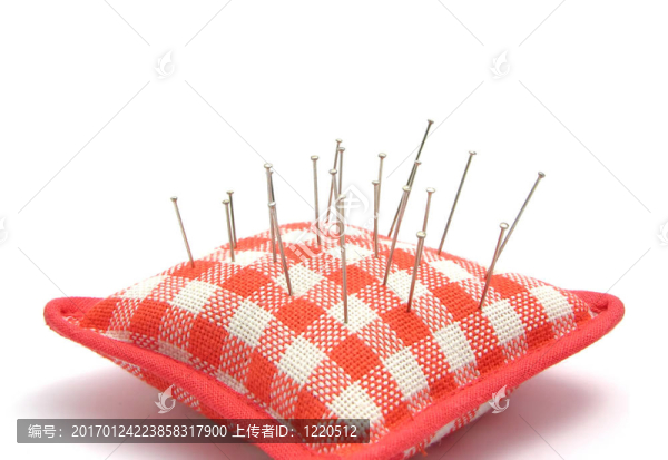 帶幾個引腳的針墊