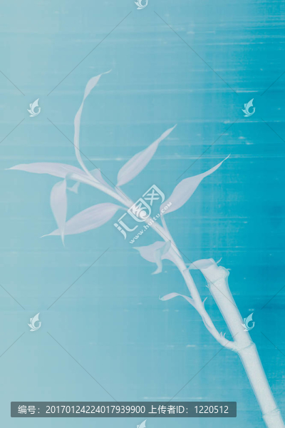 竹