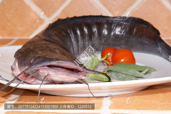 Wels準(zhǔn)備的食物