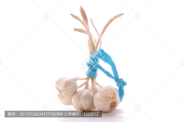 白色背景上的一些大蒜