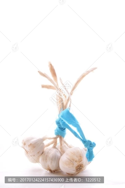 白色背景上的一些大蒜