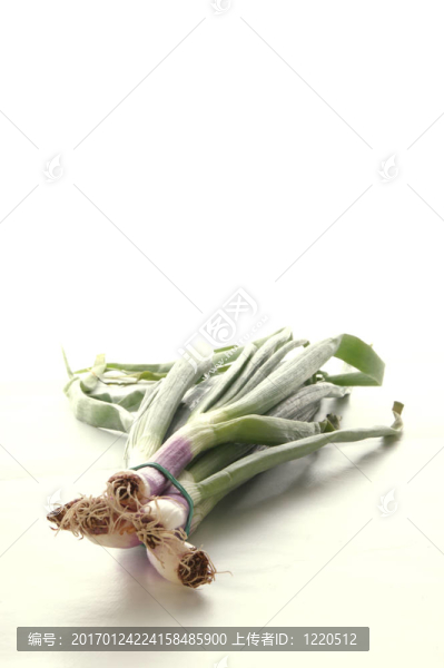 一些蔥