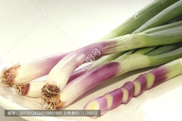 一些蔥
