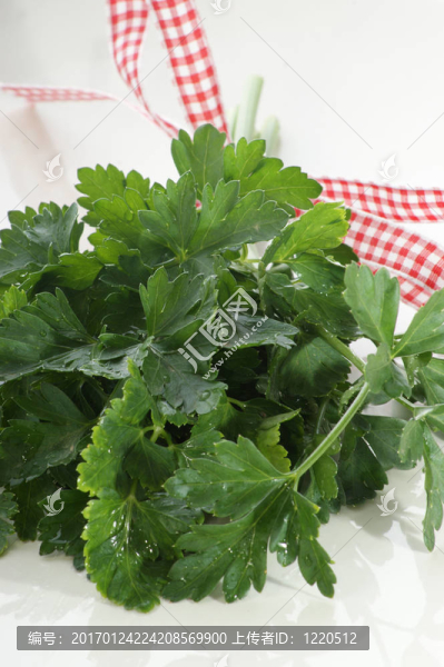 有白色和紅色絲帶的香菜