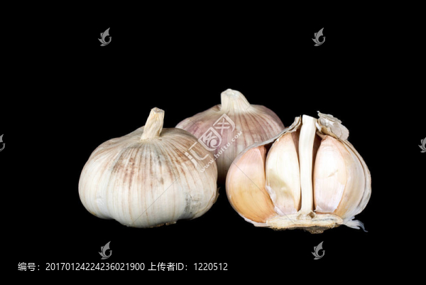 大蒜鱗莖全和一半