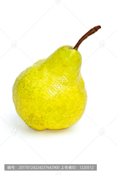 單黃綠色梨-匯圖網(wǎng) www.fosd68.com 單黃綠色梨