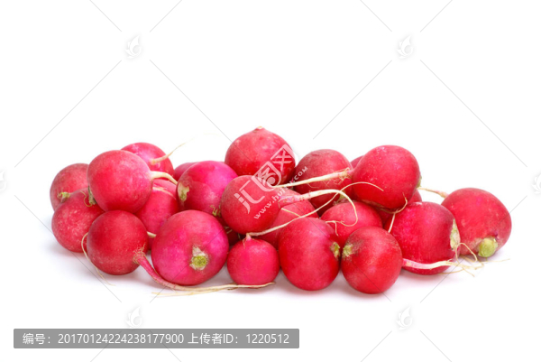 小樁紅熟園蘿卜
