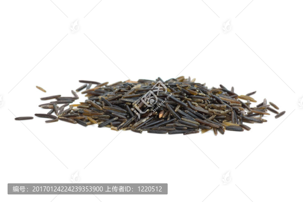 一小堆黑野生稻