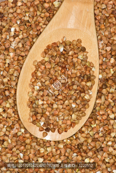 未煮熟的蕎麥木勺子-匯圖網(wǎng) www.fosd68.com 未煮熟的蕎麥木勺子