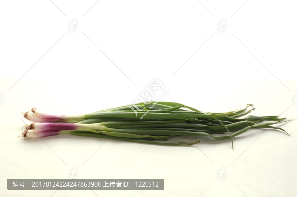 一些蔥