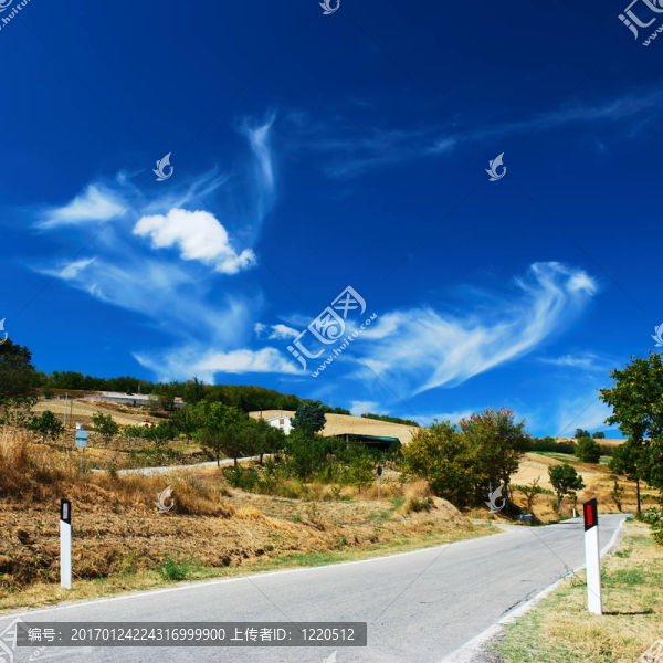 農(nóng)村公路