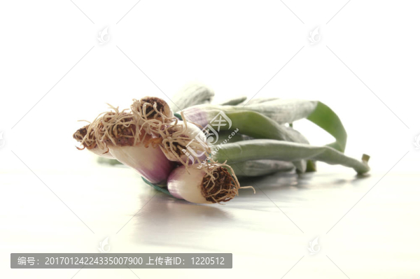一些蔥