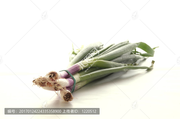 一些蔥