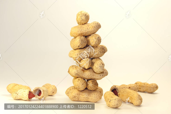 許多堅(jiān)果-匯圖網(wǎng) www.fosd68.com 許多堅(jiān)果