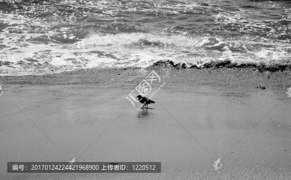 拉古納海灘