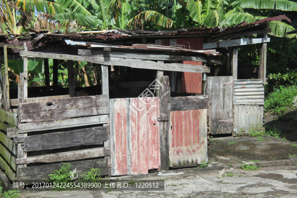 加勒比的小屋