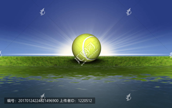 綠草上的網(wǎng)球
