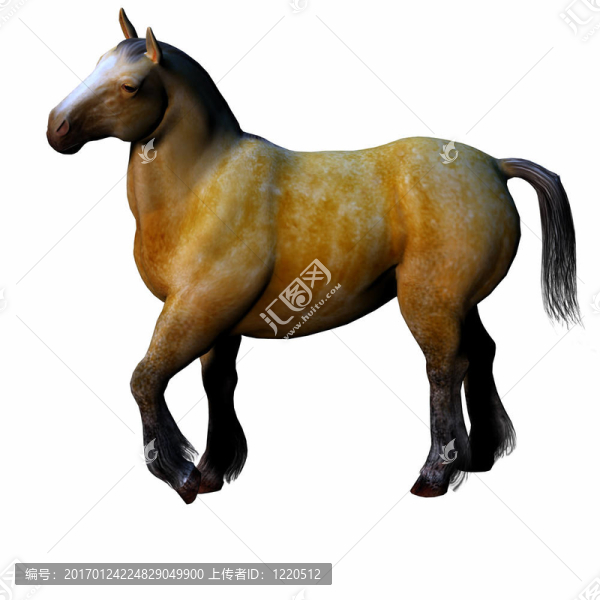 三維立體感斑斕的馬