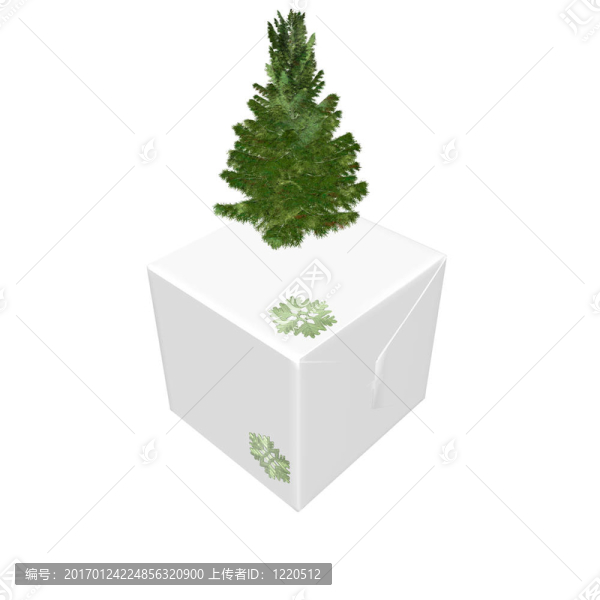 裸露圣誕樹準備用禮品盒裝飾