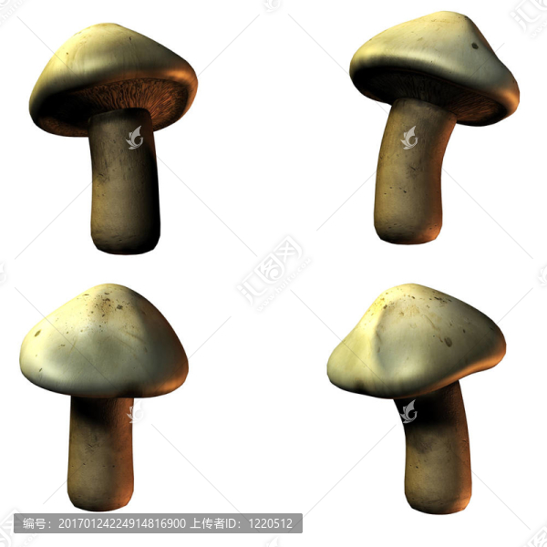 蘑菇在3D