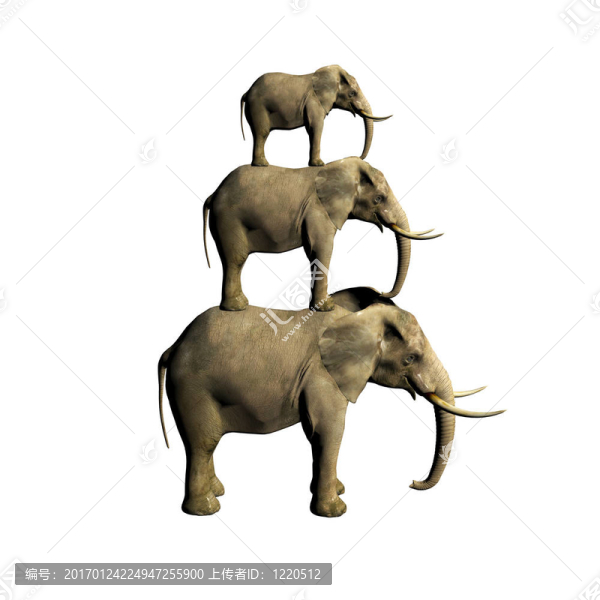 白色的3D大象