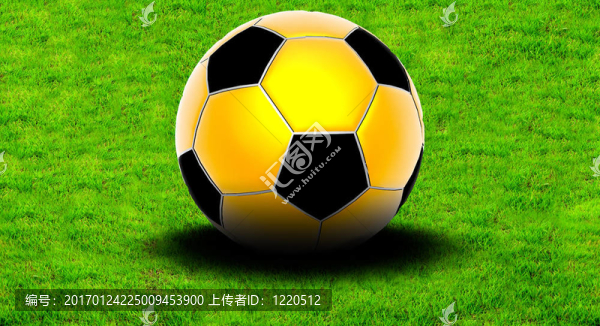 草地上的足球