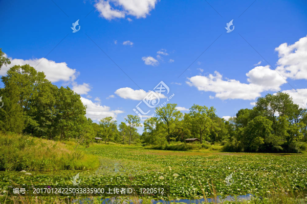 夏天的風(fēng)景