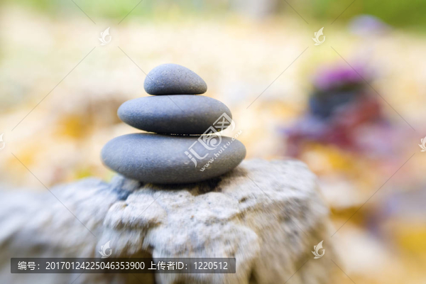 禪-匯圖網(wǎng) www.fosd68.com 禪