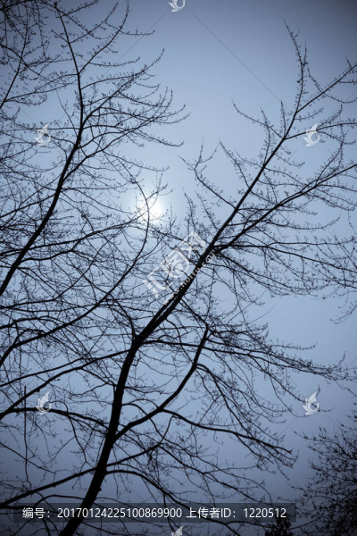 冬季的天空