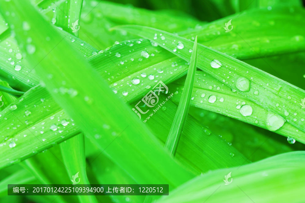 雨后