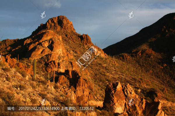 沙漠山-匯圖網(wǎng) www.fosd68.com 沙漠山