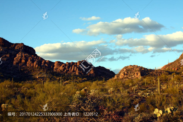 索諾拉沙漠山