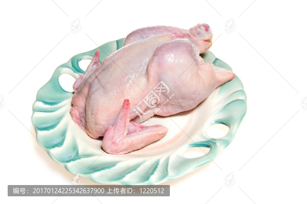 生雞肉