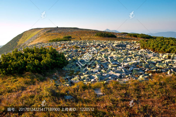 山多石的觀點(diǎn)