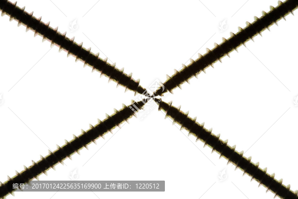 關(guān)閉一個白色的螺絲