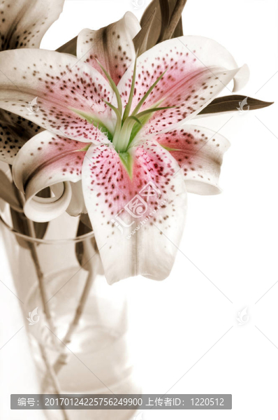 火百合花瓶