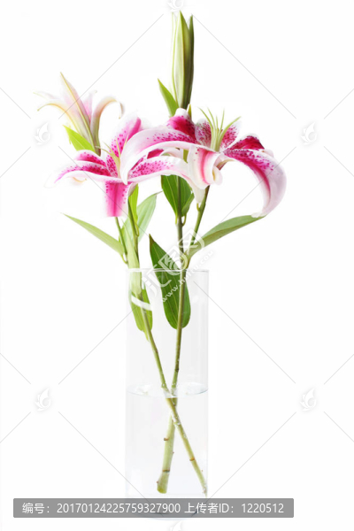 火百合花瓶