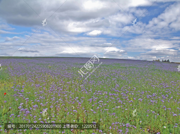 場(chǎng)節(jié)儉