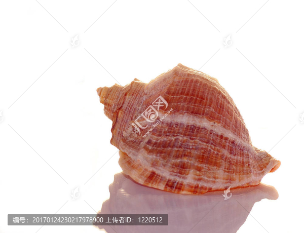 輕舟