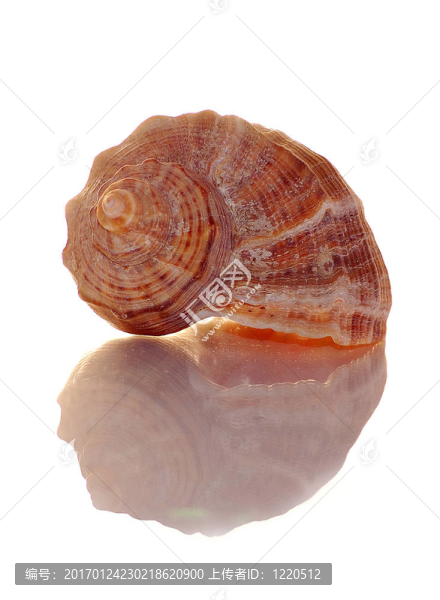輕舟