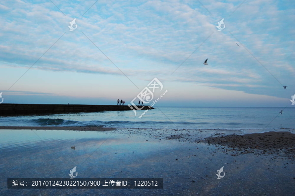黑色的海