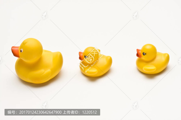 跟隨領(lǐng)袖