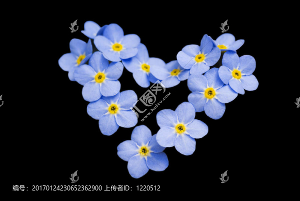 Don不會(huì)忘記我。